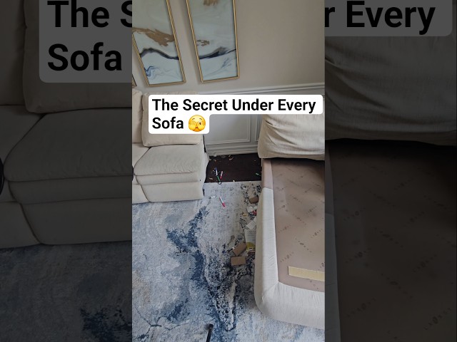 Sofa,rug cleaning
