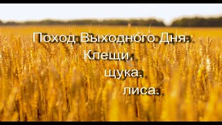 #3  Поход выходного дня.