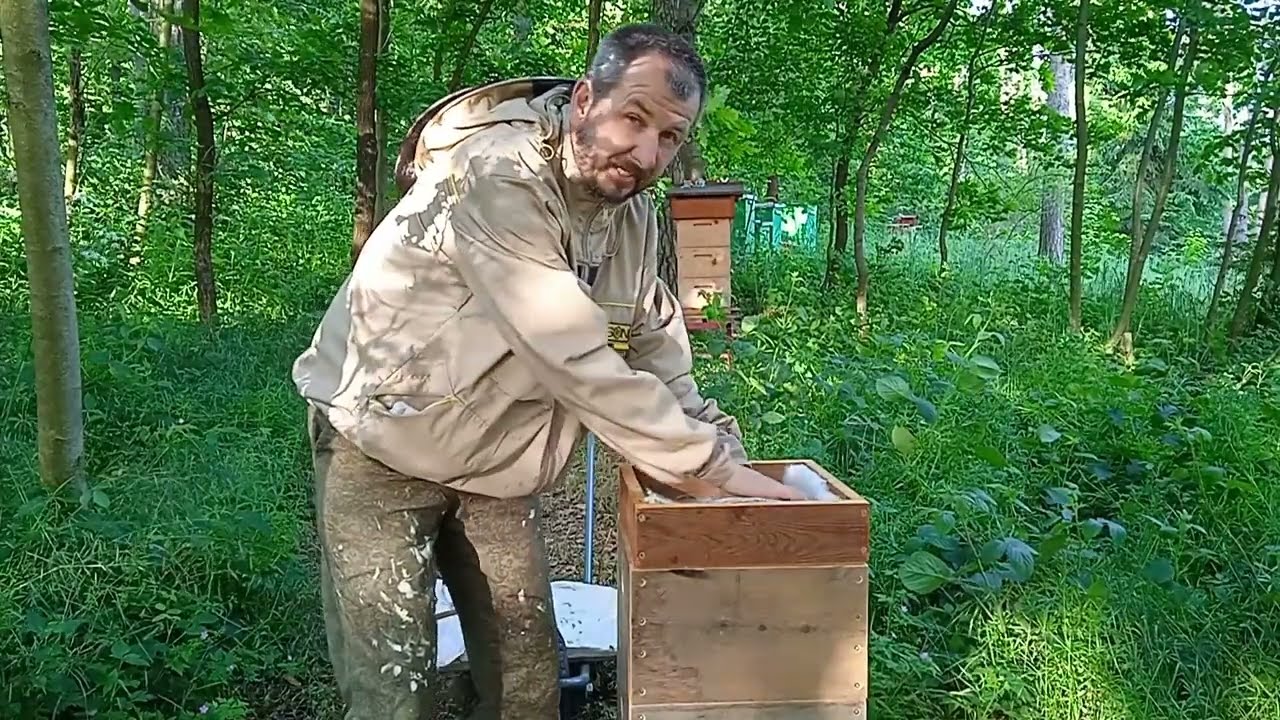 Prohlídka roje ve W7 a ztráta matky. Co s tím?