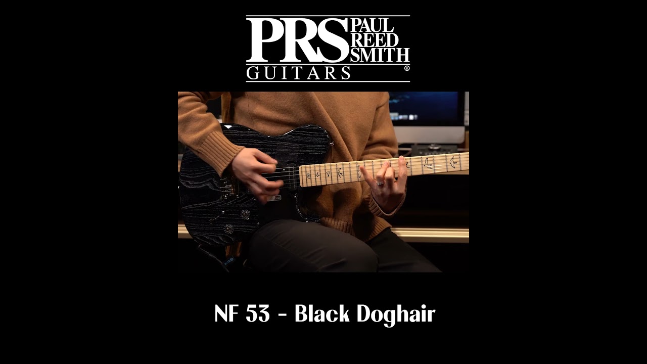 ギター Paul Reed Smith NF 53 BlackDoghair h2ryr5ecmmozasjtbolp_600x.jpg?
