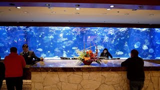 Las Vegas Aquariums - My First Fish Tank