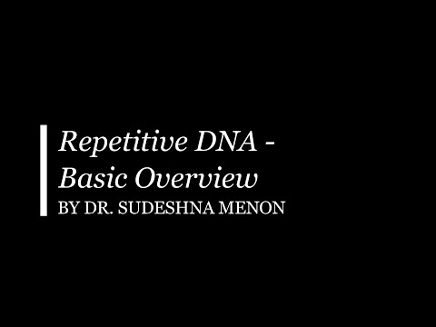 Repetitive DNA 