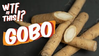 Gobo or Burdock Root (+ Recipes) | WTF is this!? ep.1 Thumb