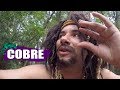 MUSTAFARY (MARCO LUQUE) -- COBRE