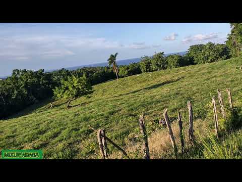 Another Person Asking For His Barrels To Be Investigated