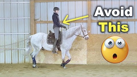 POSTING TROT FOR BEGINNERS (TIPS) 🐴