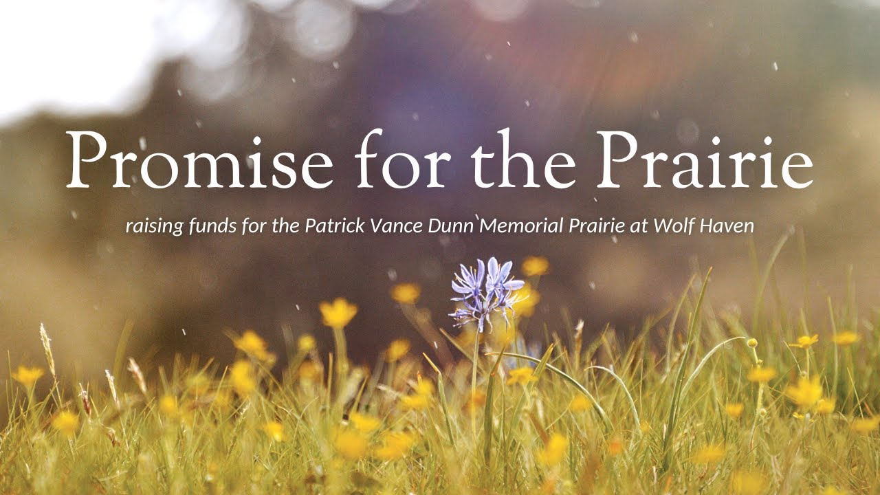 Promise for the Prairie