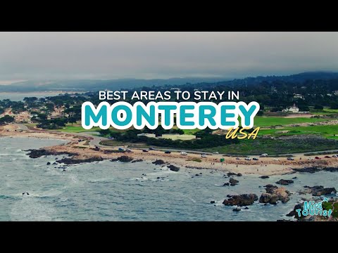 Reproductor de vídeo de YouTube
