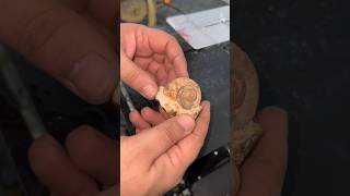 ammonite  stone is 400 million years امونيا متحجره  تتوقع اعمارها حقيقيه ؟؟ fyp  viral shorts