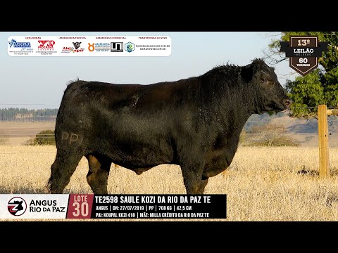 LOTE 30 2598 SAULE KOZI DA RIO DA PAZ TE