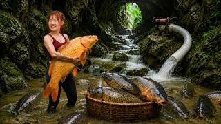 How to Harvest - Catching Giant Carp with Bare Hands in a Tiny Mountain Stream!