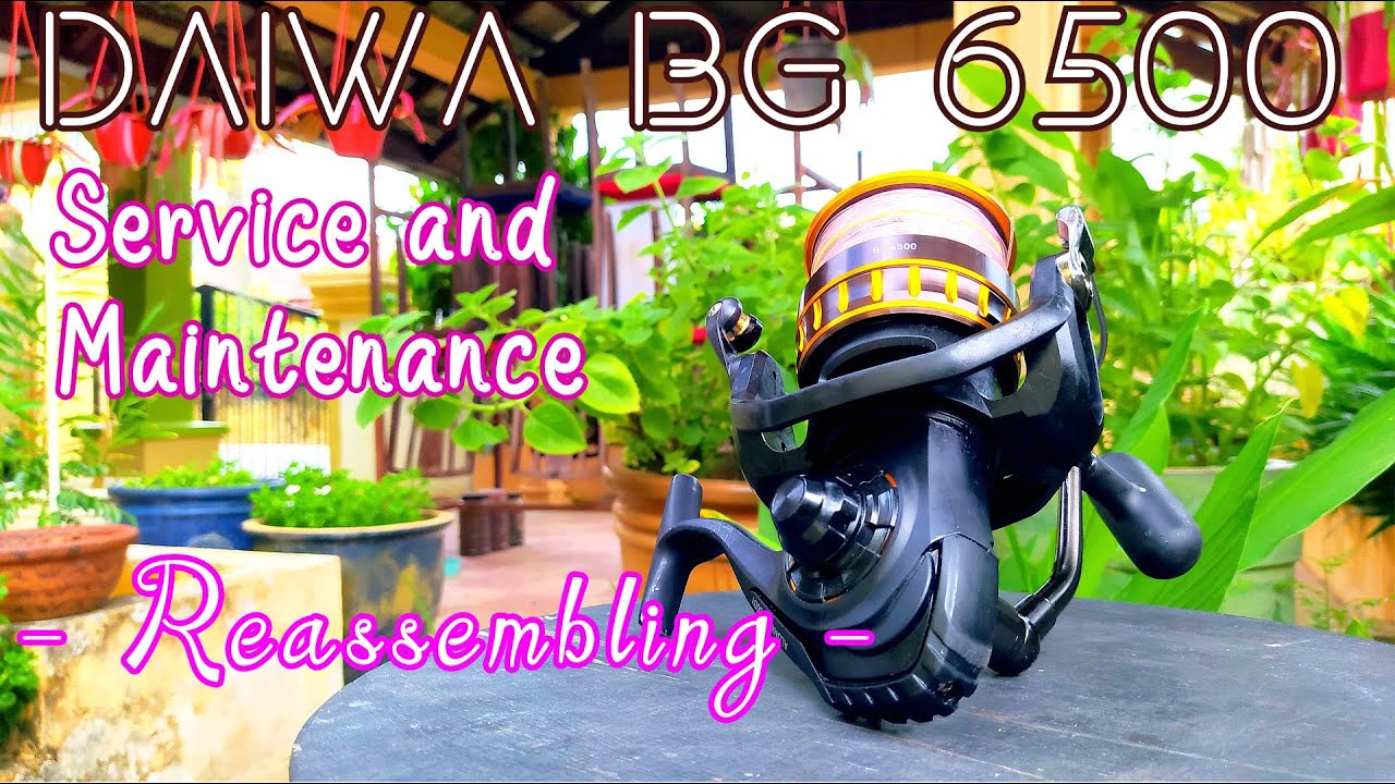 Reel Daiwa Bg 6500 - Basil Manning