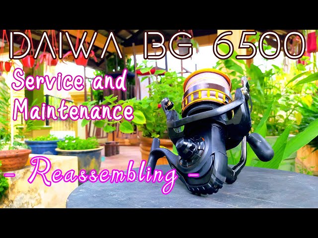 Daiwa BG 6500 - Part 2 Reassembling - Reel service and maintenance 