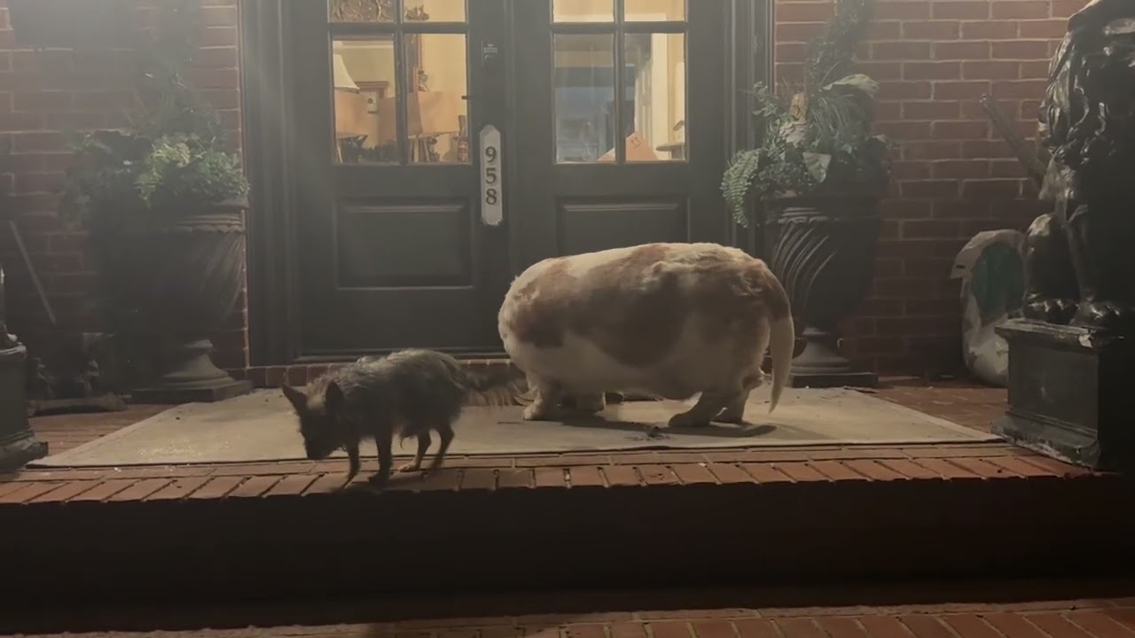 Loyalty mends hearts Royalty lends money 