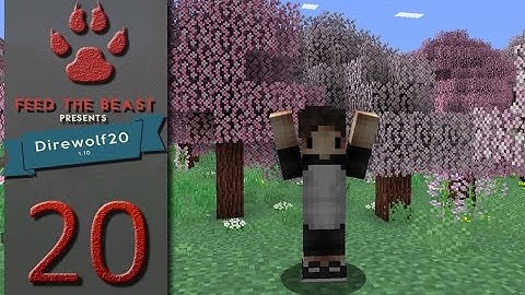 FTB Direwolf20 1.10 Ep20 Death to Dragon and Wither