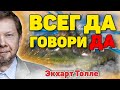 Как научиться всегда говорить «Да» и перестать страдать на духовном пути. Новые лекции Экхарта Толле