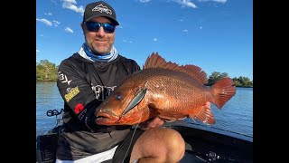 Targeting Gold Coast Mangrove Jacks with the Shadow Rap Shad 3X Deep