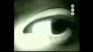 Mtv - Snake 1999, Taiwan