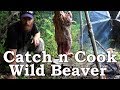 Catch and Cook WILD BEAVER!!! | BEYOND SURVIVAL | The Wilderness Living Challenge 2017 | S02E04