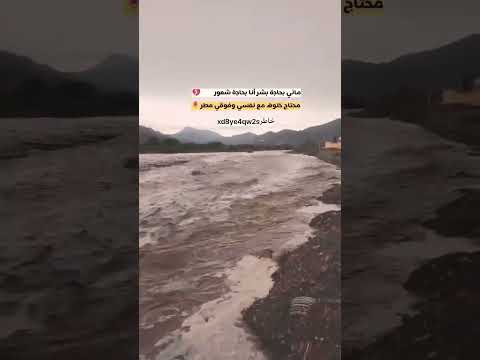 ماني بحاجة بشر أنا بحاجة شعور