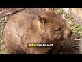 Topic-4: 20 Animal Facts So Wild They Must Be Fake