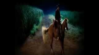 Django Horse Show Scene