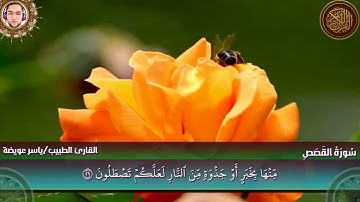 سورة القصص كاملة القارئ ياسر عويضة