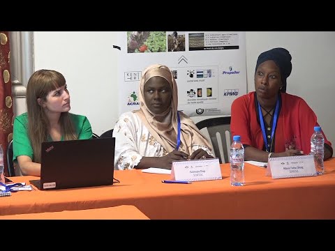 23 pays d'Afrique cogitent à Thiès sur climat et agriculture