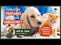 How to handle a pet emergency | 8 tips to prepare for a pet emergency | Pet emergency prevention