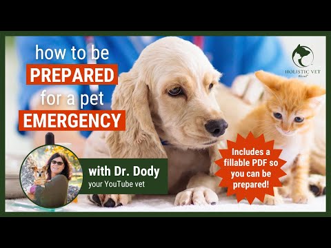Wideo: Pet 911: Emergency Prep and Prevention