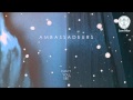 Ambassadeurs - Can't You See