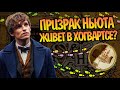 Откуда Ньют Скамандер на Карте Мародёров?