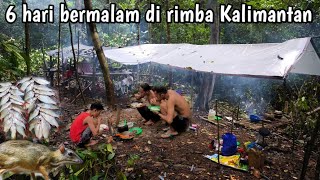 Download Lagu 6 hari berpetualang berburu di hutan rimba Kalimantan  MP3