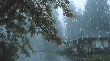 Relaxing Sound of Rain Forest Puddles 2 Hours / Light Rain and Rain Drops Falling From Trees