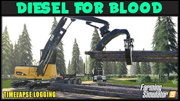 Heel Boom Action ⛽ DFB #6 ⛽ ✔ Farming Simulator 2019 ✔ FDR Logging
