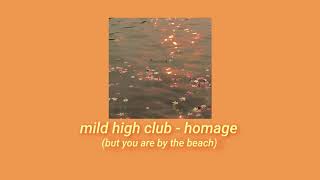 Mild High Club - Homage (But You Are By The Beach)