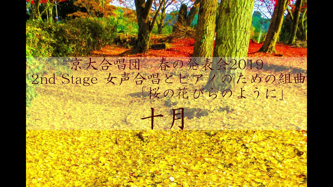 十月 女声合唱とピアノのための組曲 桜の花びらのように より 京大合唱団 Youtube 十月 女声合唱とピアノのための組曲 桜の花びらのように より 京大合唱団 Youtube