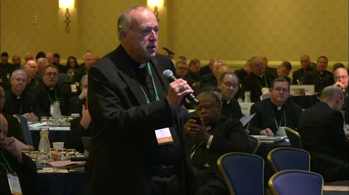 Cardinal McElroy: I usually support nonviolence, b...