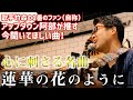 【心に刺さる名曲】蓮華の花のように【竹森楽曲集】
