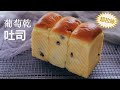 葡萄干吐司面包(中种法)，超级松软拉丝,  其中这步你做对了吗？ 【Eng Sub】Raisin Bread/Sultanas Loaf Bread, super soft