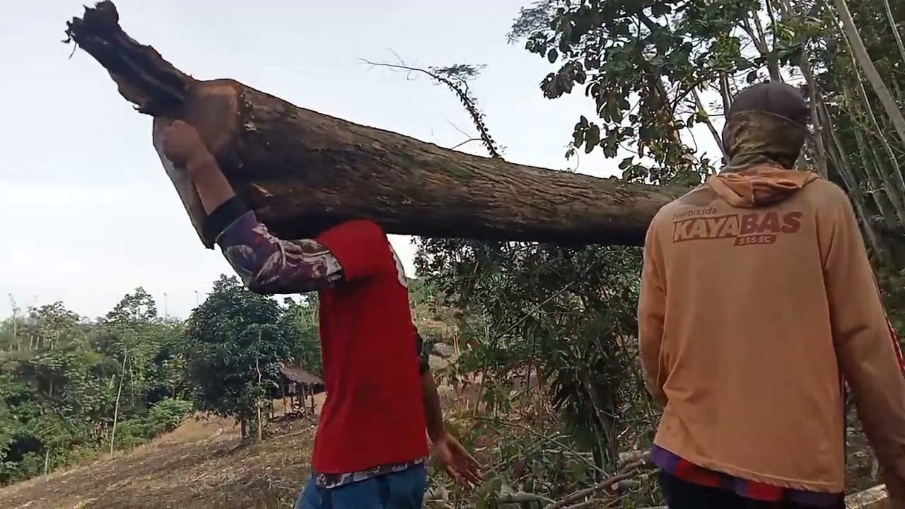 PART 1 team sukorejo