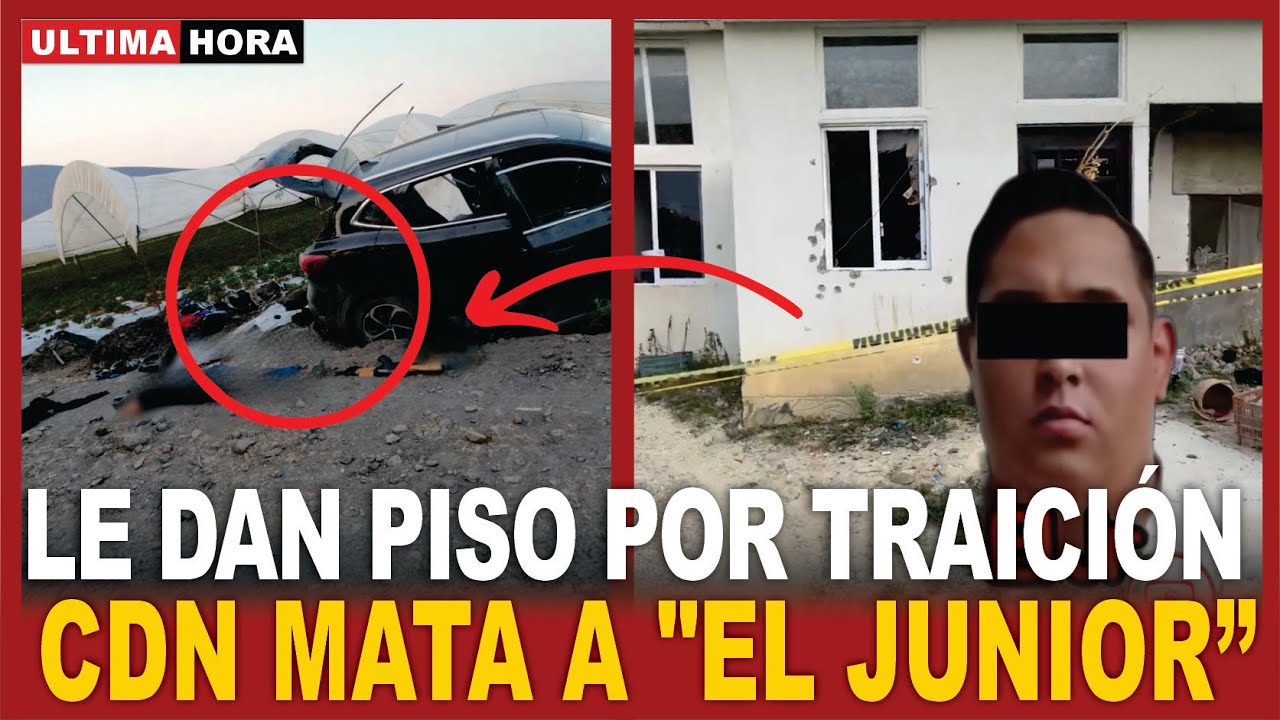 LE DAN PISO a "EL JUNIOR": CDN MATA jefe de plaza que buscaba ALIANZA con enemigos