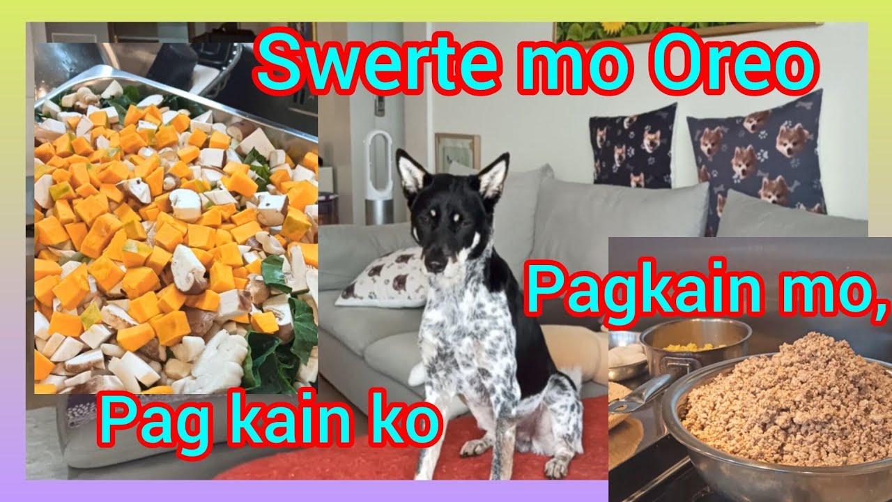 Swerte mo Oreo,Pag Kain mo,Pag Kain ko. Bongga organic pa.