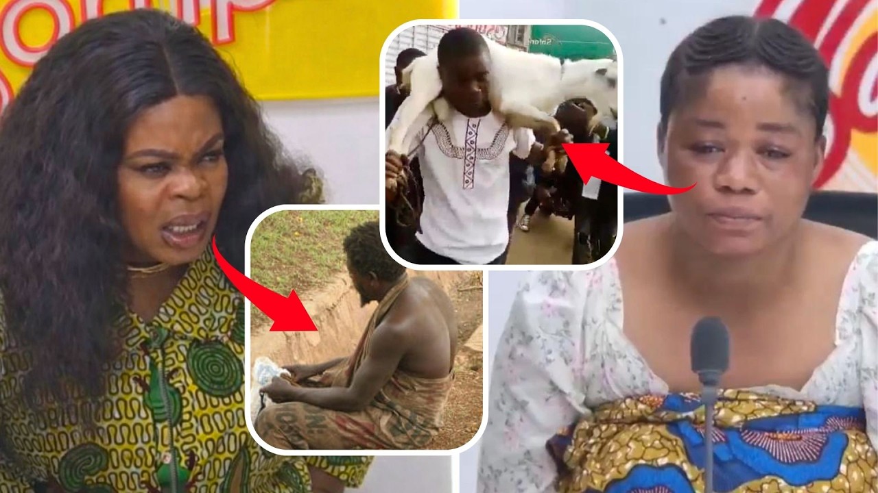 Eiii😳 My Brother is Mad after Carrying a Strange Sheep on his Head. Lady accused her Father over...