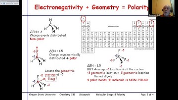 *Molecular Shape & Polarity