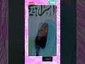 سبب بكاء النبي محمد صلى الله عليه وسلم الشيخ بدر المشاري سبب بكاء النبي محمد صلى الله عليه وسلم الشيخ بدر المشاري