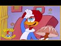 Woody Woodpecker | Ready For My Close Up Mr Walrus | Full Episodes