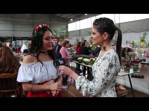 Informe TVS Festa das Flores