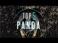 Best Desiigner - Panda Dance Videos | #DanceOnPanda