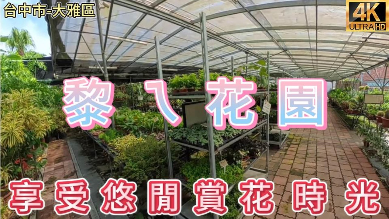 TAIWAN台中大雅黎ㄟ花園,享受悠閒賞花與園藝時光!#黎ㄟ花園 #台中大雅 #大雅區 #台中景點 #台中旅遊 #花卉園藝 #觀葉植物 #園藝生活 #植物愛好者 #賞花景點 #台中花市 #大雅景點 縮圖